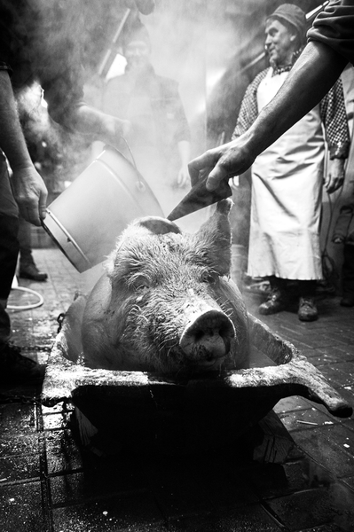 Pan řezník má svoji práci rád - cyklus
