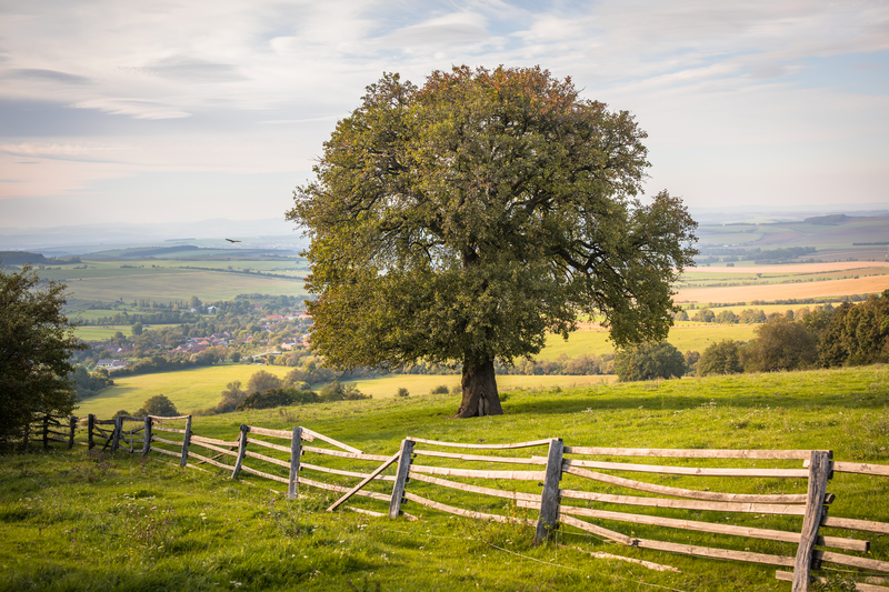 Strážce nad Horním Němčím