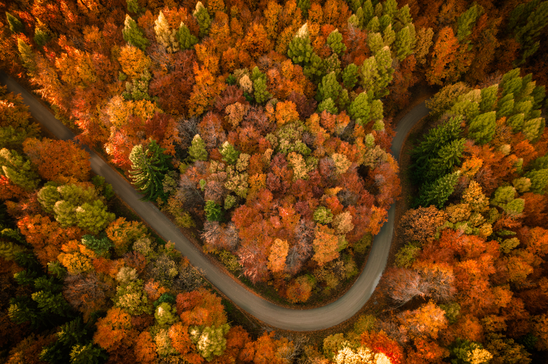 Podzimní vlna Karpat