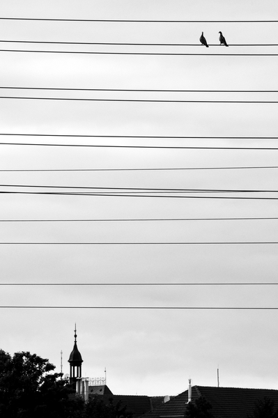 Energie pro dva holoubky