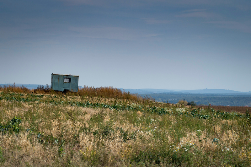 šardická savana