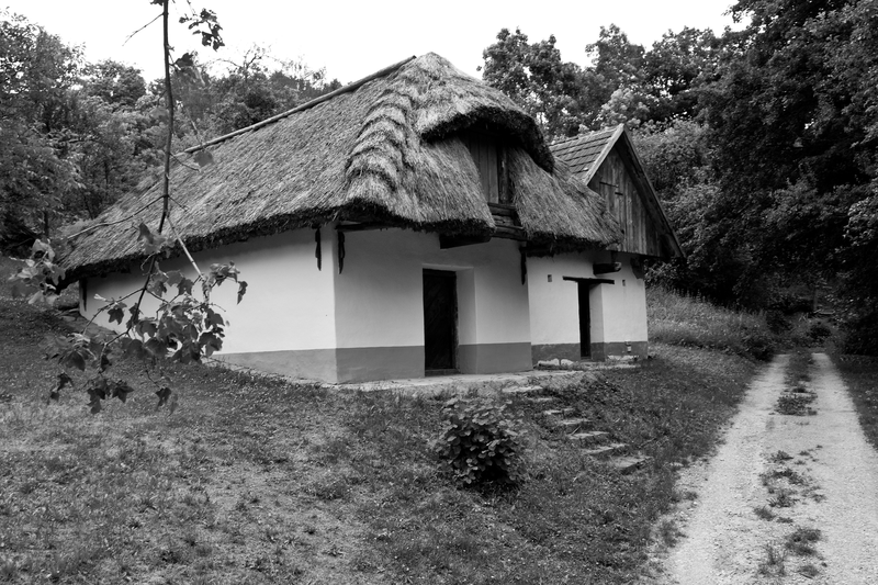 Ve Veletinách