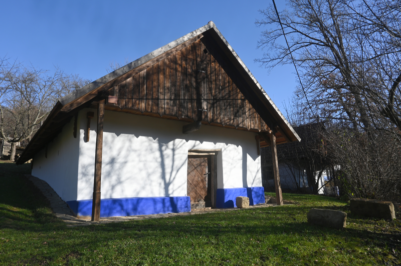 Bílomodrá krasavice