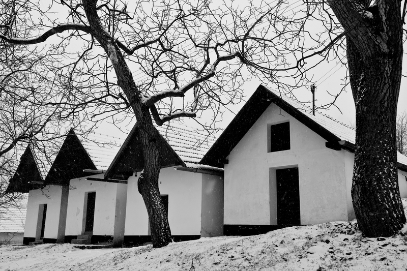 Ve Vlčnově