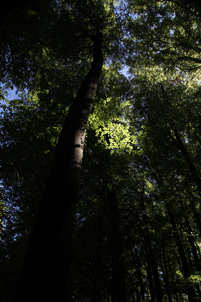 Temnota mocná, Světlo silnější