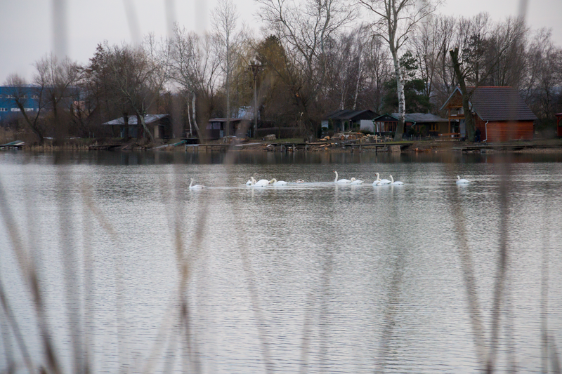Jezero