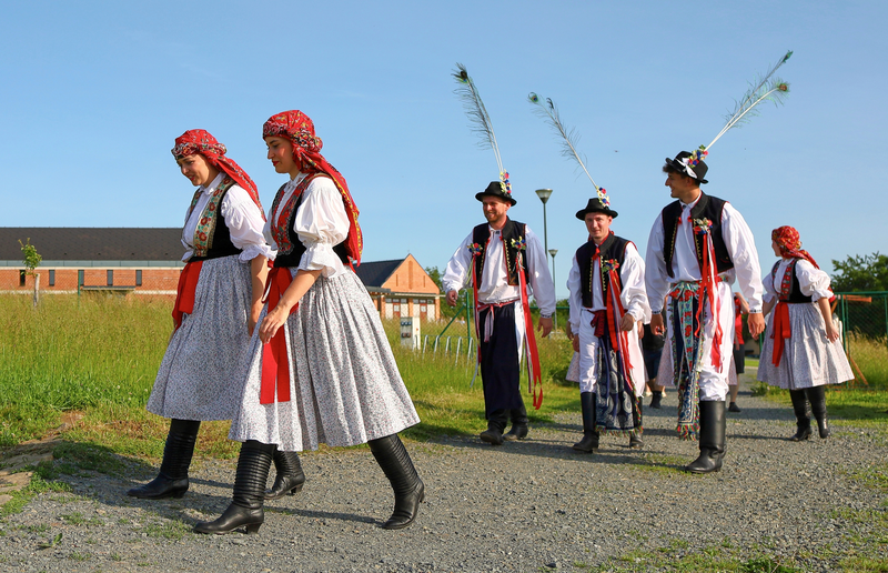 Odvedenci v doprovodu