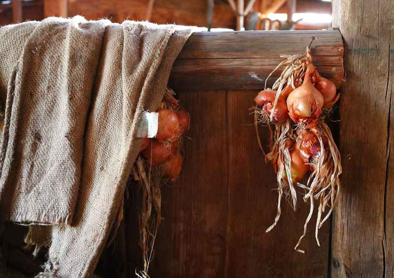 Zátiší ukryté ve stodole