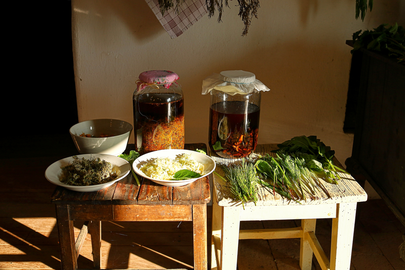 Zátiší u bylinkářky