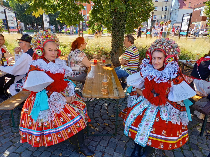 Krojovaná krása