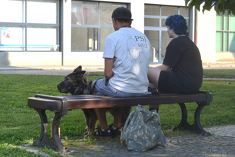 Afrodita a Psí muž