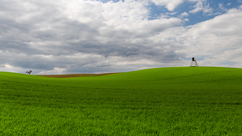 Windows XP - tupeská edice 2025
