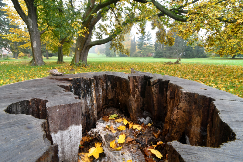 Park v zámku Napajedla
