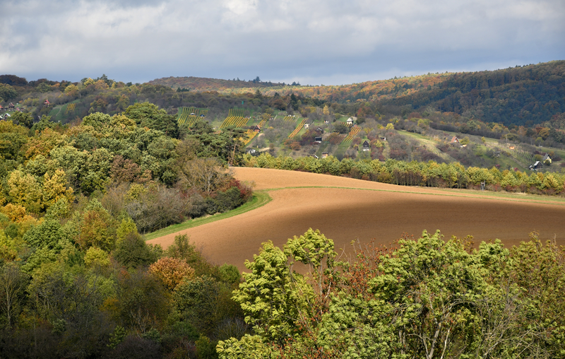 Krajina nad Kudlovskou dolinou.