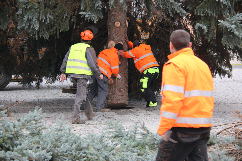 Cesta vánočního stromečku na Uherskobrodské náměstí