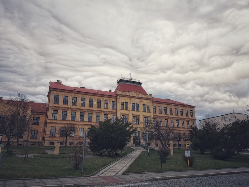 Undulatus asperatus - I. základní škola