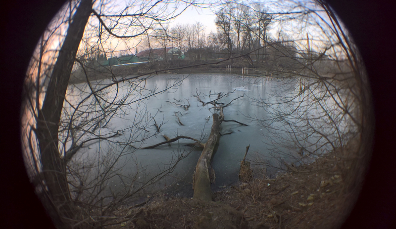 WP_20190121_16_09_20_Rich