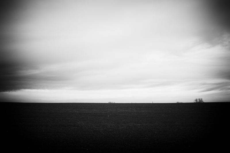 _DSC4386