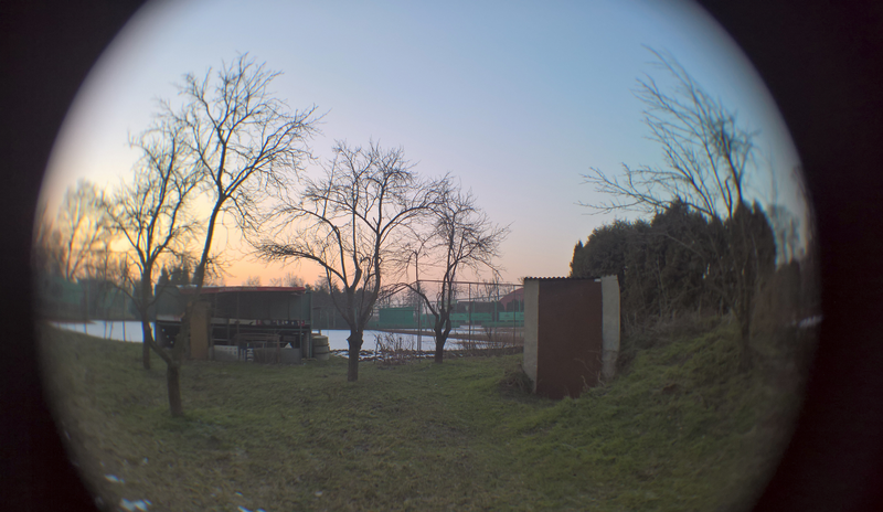 WP_20190121_16_20_15_Rich