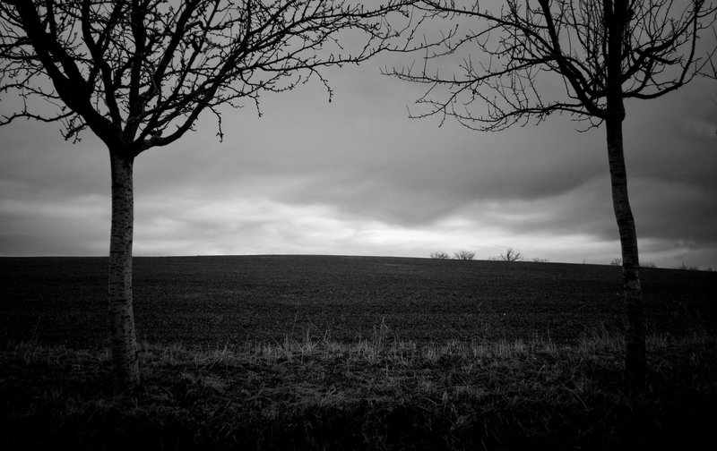 _DSC4423