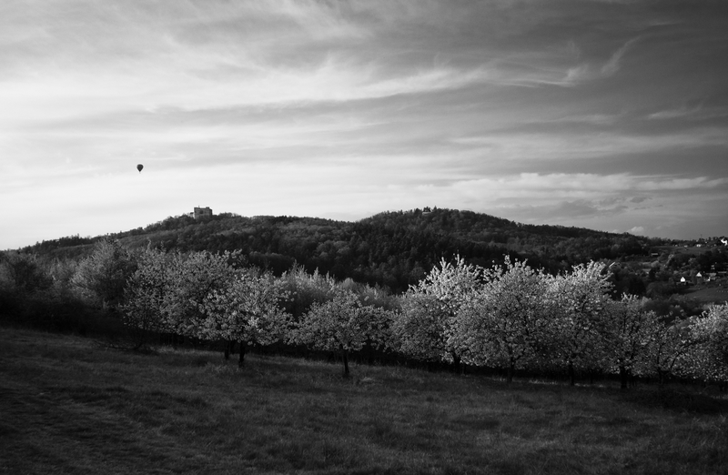 _DSC4668
