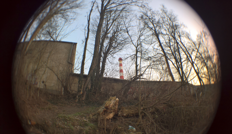 WP_20190121_16_13_58_Rich