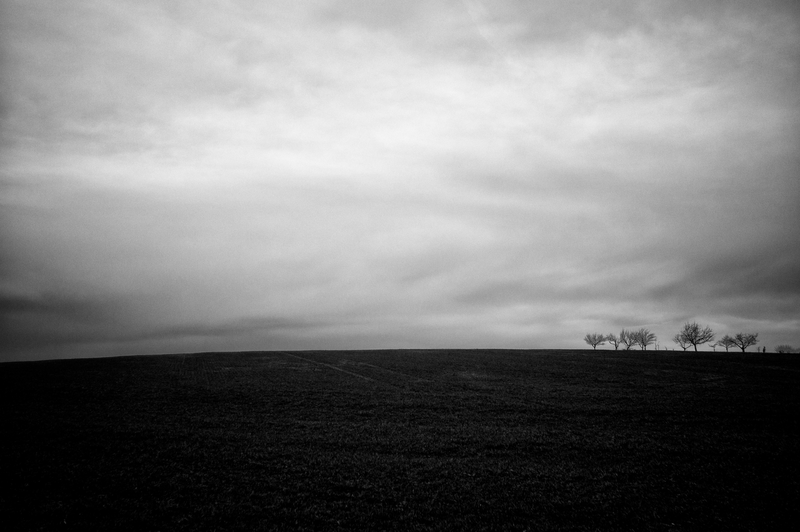 _DSC4441