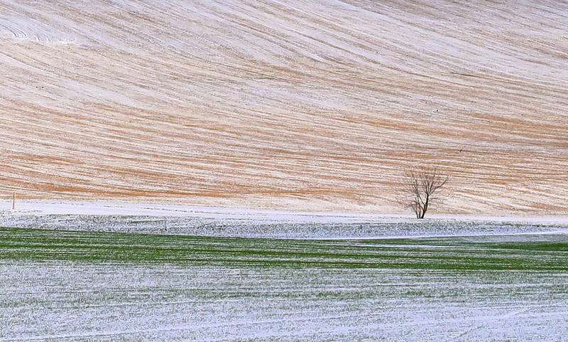 Linie
