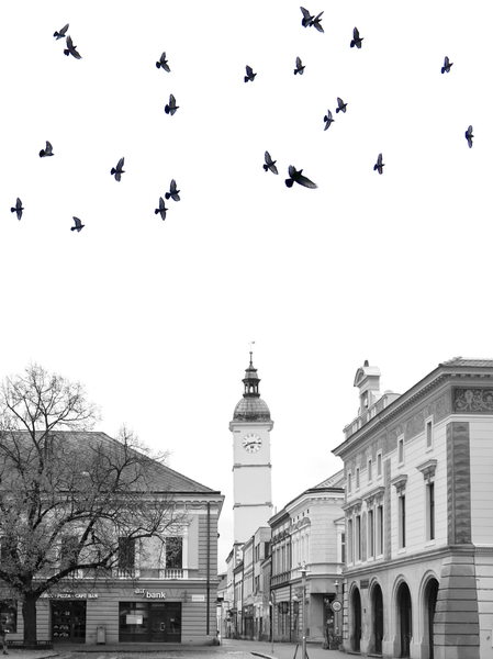 Ptáci