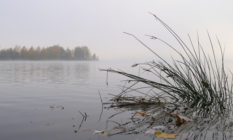 Ve vodě