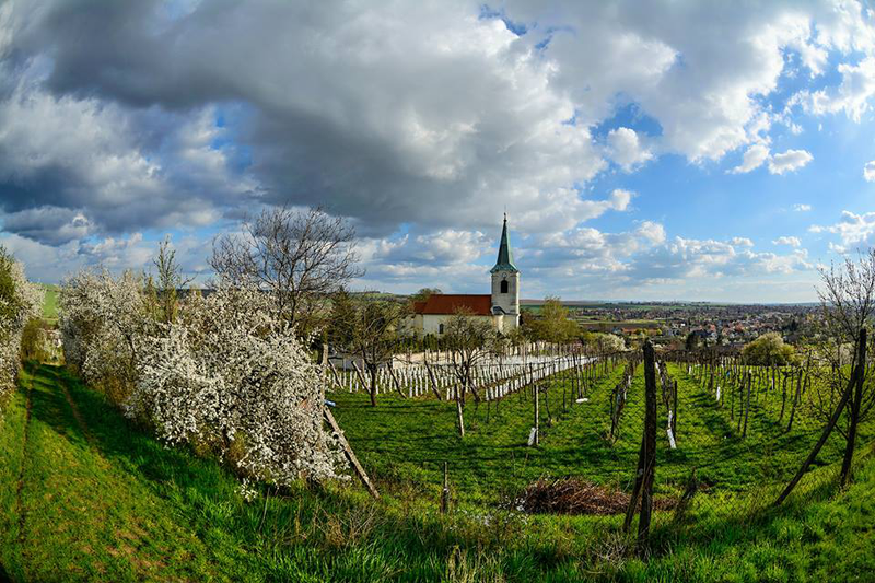 Kostelík v Sadech