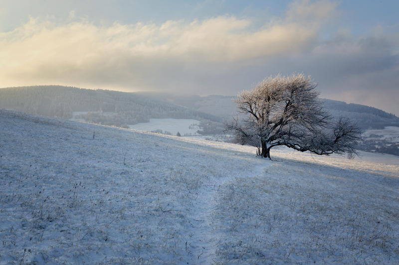 Solitér
