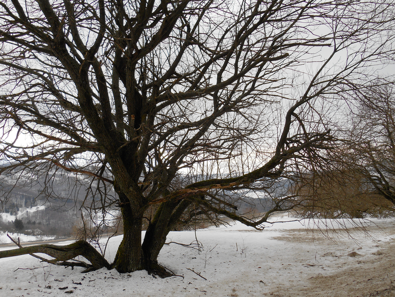 Strom