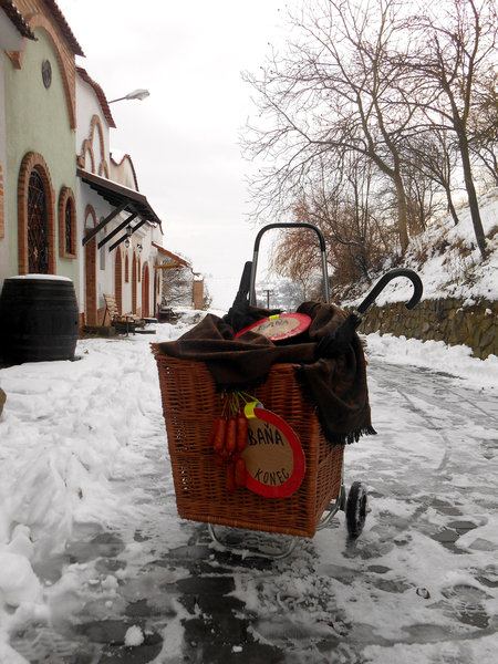 Na výletě