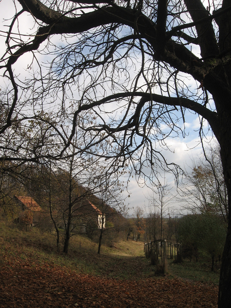 Kolem Buchlova
