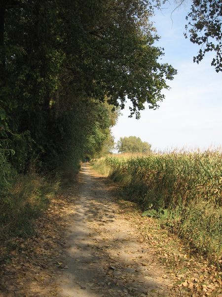 Při Moravě