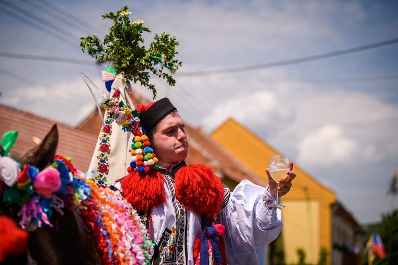 Vlčnovské víno
