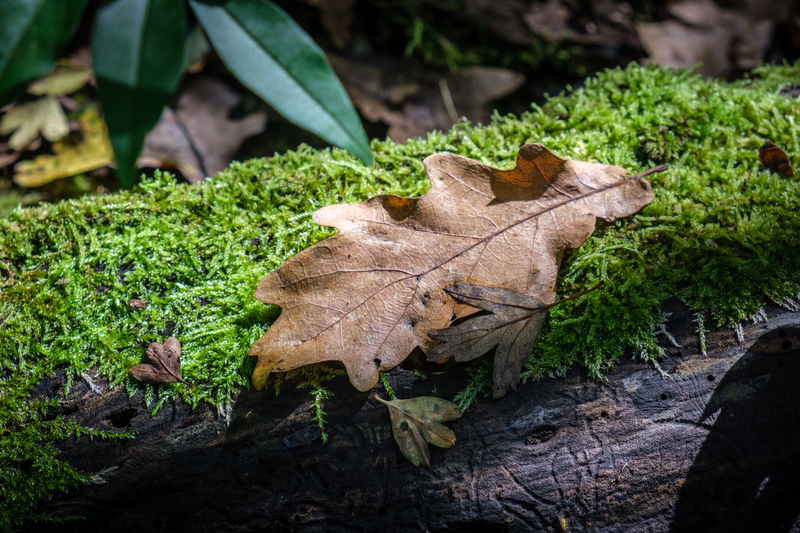 Podzim v okolí Popovic 4