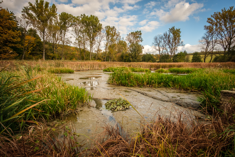 Podzim v okolí Popovic 6