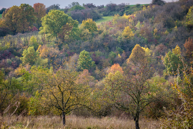 Podzim v okolí Popovic 8