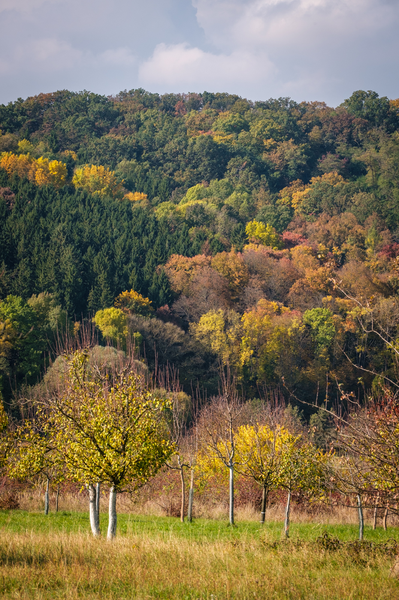 Podzim v okolí Popovic 1
