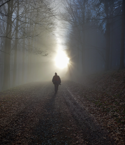 Cesta na Velký Lopeník