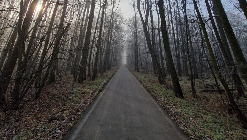 Kdo se bojí, nesmí do... Kunovic.