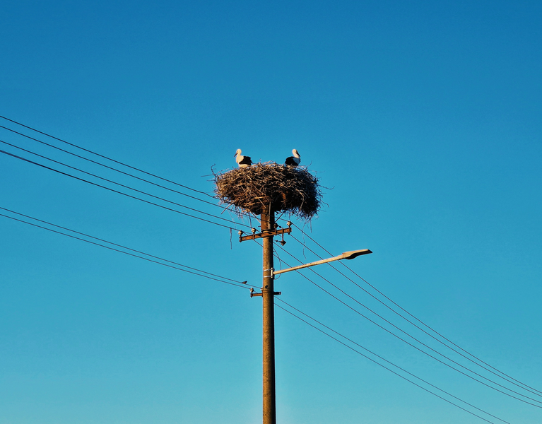 Manželství (po hádce)