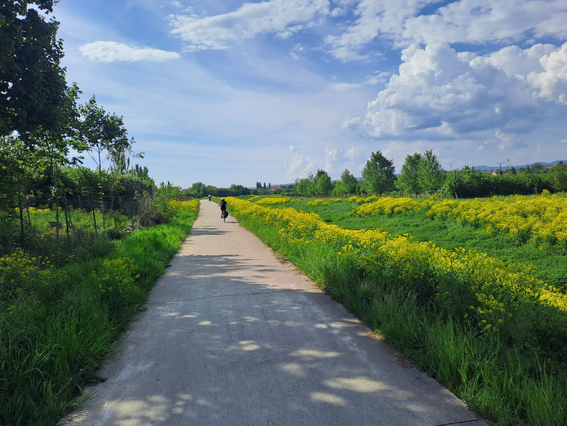 Z cyklovýletu