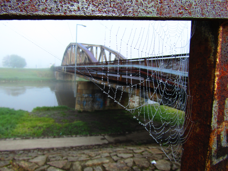 most v pavoučí síti