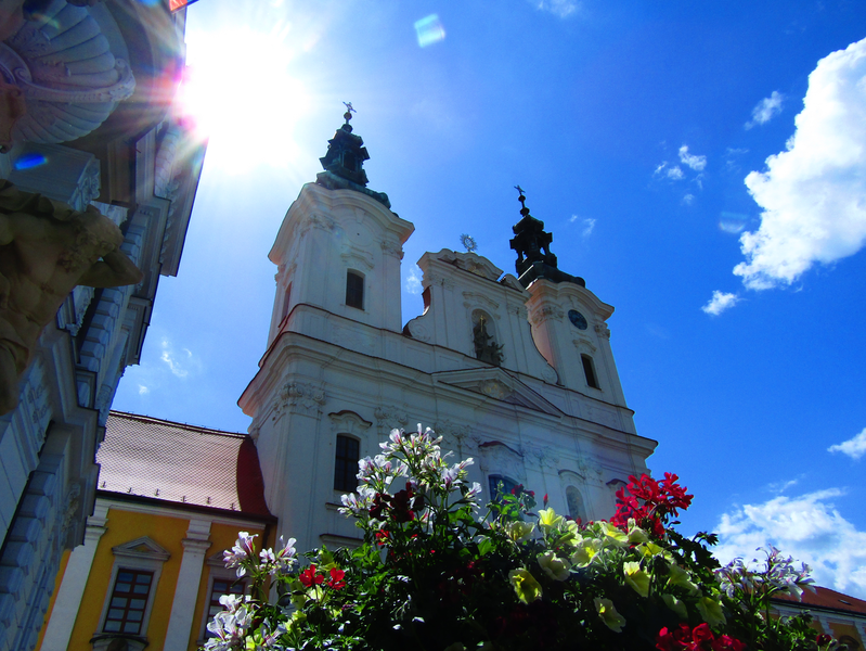 květiny před kostelem Sv. Františka Xaverského
