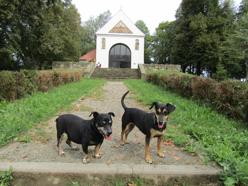 Před kaplí sv.Rocha