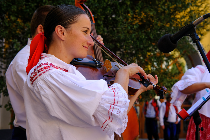 Cyklus Nálada - Můza