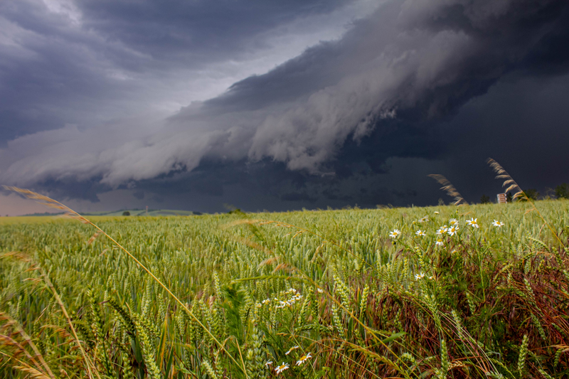 Shelf cloud